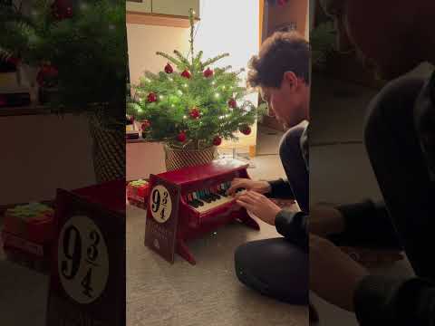 Harry Potter "Hedwig‘s Theme" by Thomas Krüger