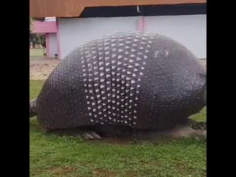 Itaruma em Goiás - 0016