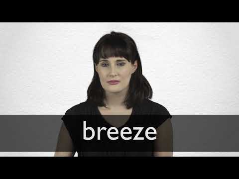 Breeze Definition And Meaning Collins English Dictionary
