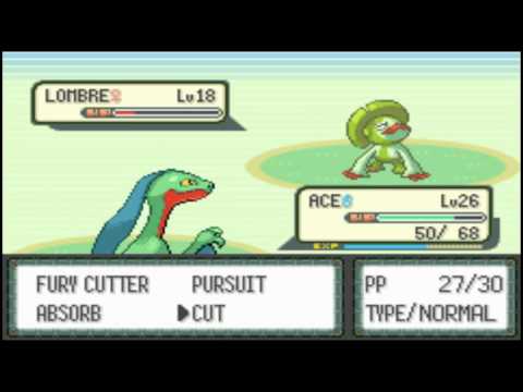 Pokemon Emerald :- Part 3 - Road to Third Gym + Badge