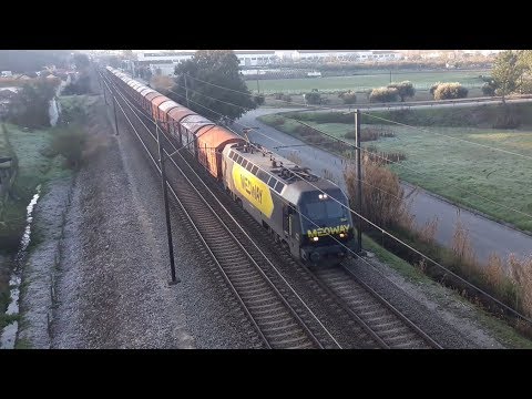 Fontela em Pombal #060219