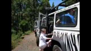 Ship of Fools Part Deux