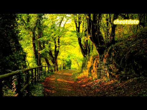 Han Dong Joon - 너를 사랑해