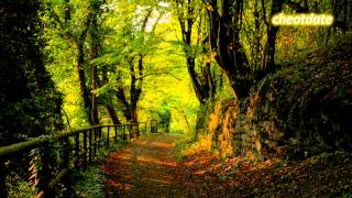 Han Dong Joon - 너를 사랑해