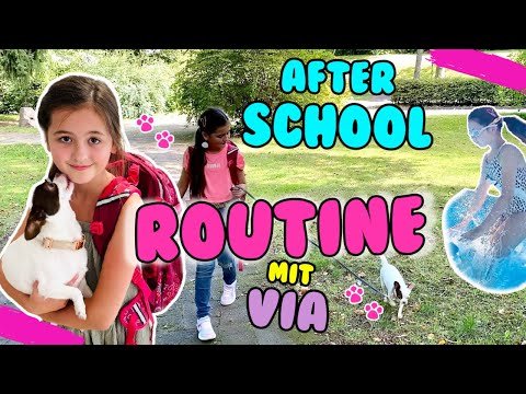 AFTER SCHOOL ROUTINE mit meinem HUND im Sommer 🤩 BACK to SCHOOL 4. KLASSE 📚 2020 ❤️ Alles Ava
