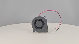 50x50x15mm 50mm Mini Air Blower Fan With Brushless Motor