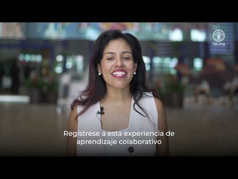 Inventario Forestal Nacional: Curso facilitado en línea