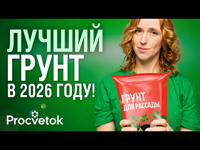 НЕ ПОГУБИТЕ РАССАДУ! Большой тест грунтов для рассады показал неожиданные результаты