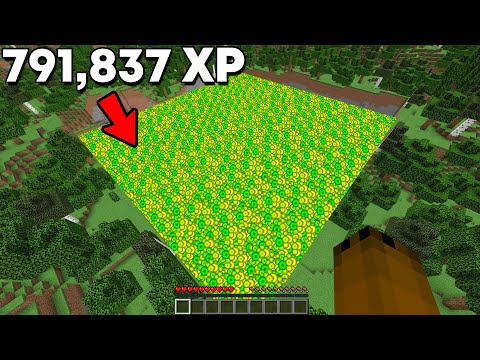 I Made The Loudest Sound in Minecraft History...