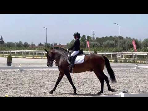 Iniciados 2 - Lara e Endiabrado 🥇 70%