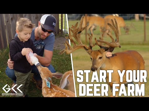 Start Your Own Deer Farm! | GCC at Legends Ranch