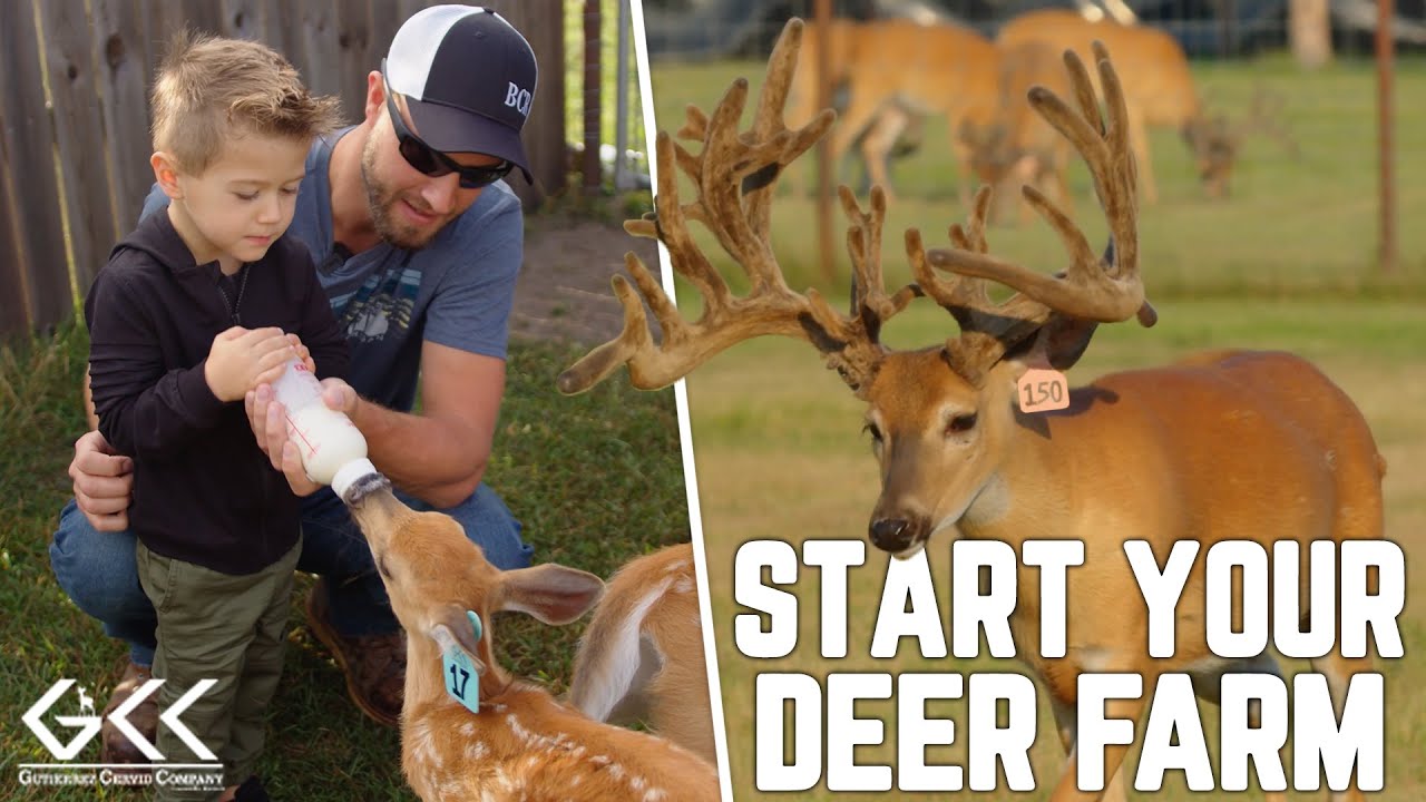Start Your Own Deer Farm! | GCC at Legends Ranch