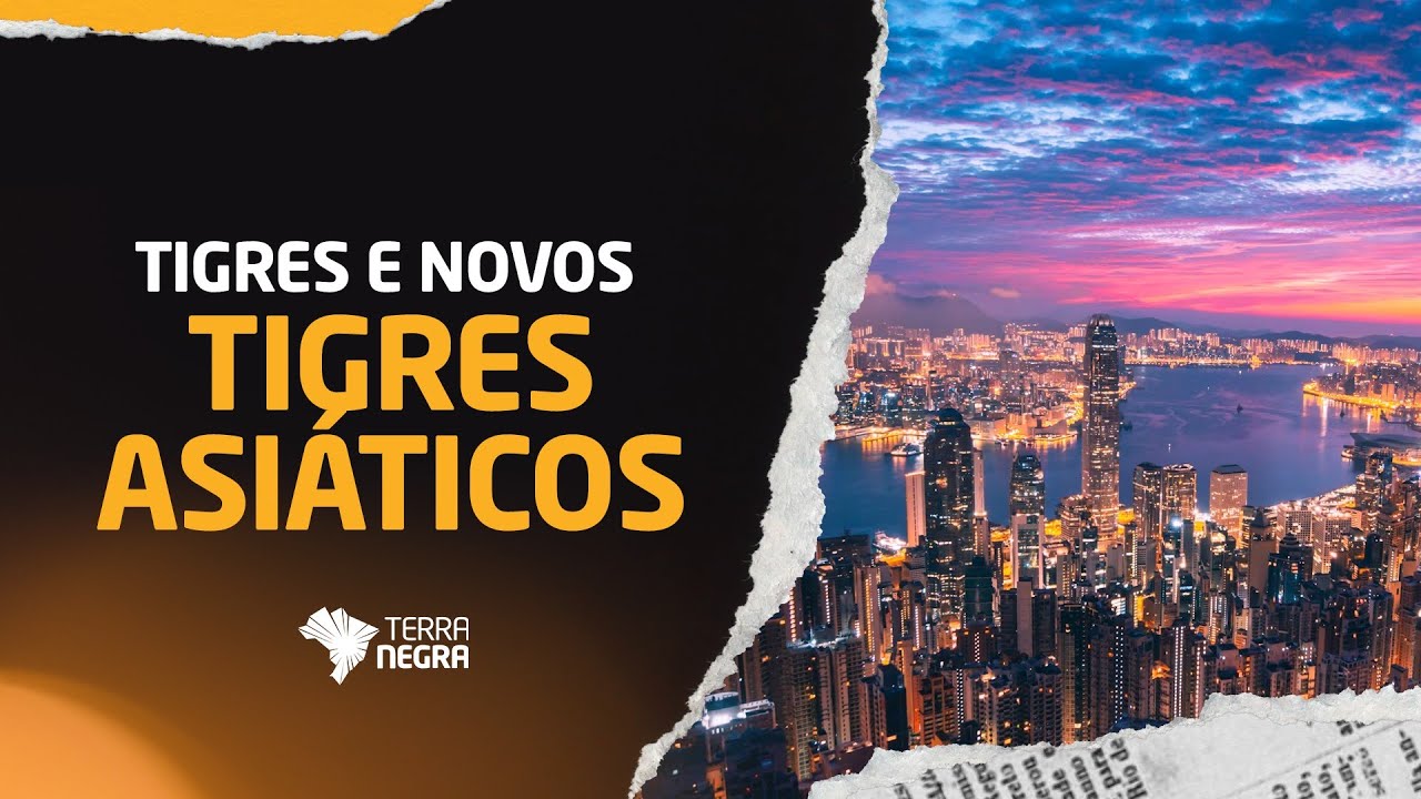 Tigres e novos tigres asiáticos - Aula rápida e objetiva