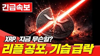  [속보] XRP 끝났나? 리플 공포 속 기습 급락