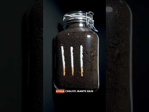 Cigarette Decompose in Soil 😳 #shorts #ytshorts #science #sciencefacts
