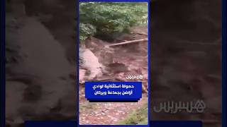 طوفان يضرب منطقة أزاضن بجماعة ويركان ويتسبب في خسائر مادية thumbnail