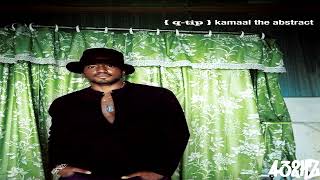 Q-Tip - Do You Dig U? (432Hz)