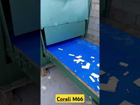 Делитель CORALI M66