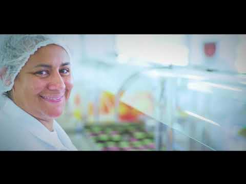 Frigorífico Callegaro - Qualidade é a nossa natureza