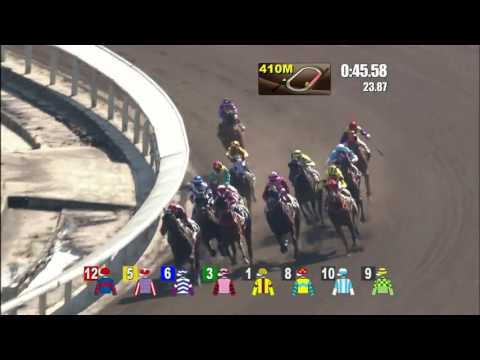 Perpetual Joyance - Karis Teetan (November)