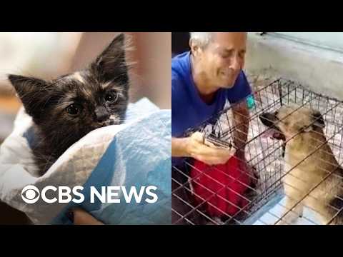 Venezuelans reunite with pets rescued by volunteers after deadly earthquakes