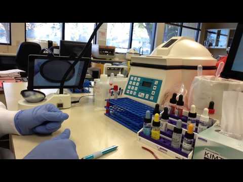 Blood Bank - Crossmatch