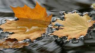 Mario Biondi Ecstasy