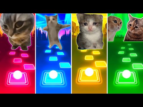 Chipi Chipi Chapa Chapa Cat vs Happy Happy Happy Cat vs Sad Cat vs Talking Cats - Tiles Hop EDM Rush