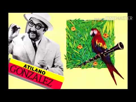 Musica Maestro - Porro