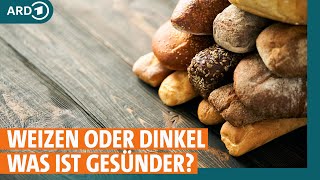 Weizen oder Dinkel: Welches Getreide ist am gesündesten? I ARD Gesund