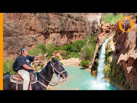 Havasupai tribe: Native American Indian, guardians of the Grand Canyon