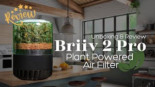 Briiv 2 Pro Review: Eco-Friendly Air Purifier