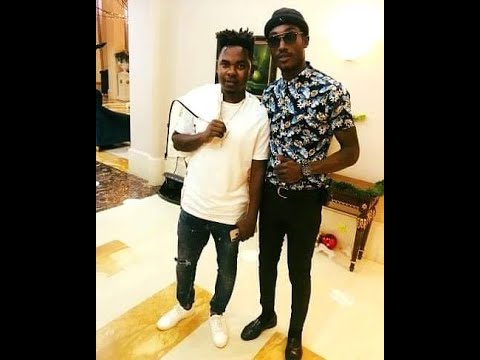 CARY JAY COLLECION 2019 BY DJ RONALDO