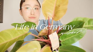 日常にもどるドイツ暮らし | 私たちの国際結婚について | 婚約記念日の韓国料理ディナー | ハンブルクからお迎えした観葉植物 | vlog | #ドイツ生活 #海外暮らし #国際結婚 #国際恋愛