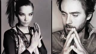 Bjork feat. 30 Seconds To Mars-Hunter.