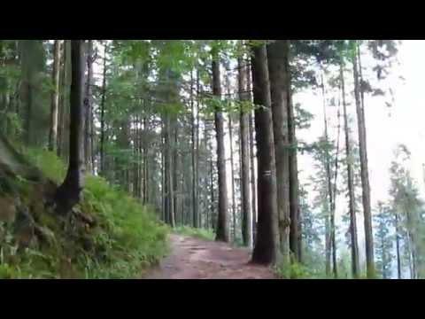 Ziutka - Muzyczny Kompas (AutoteRAPia) Wideo