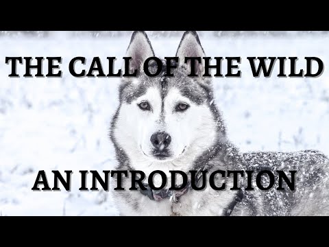 The Call of the Wild by Jack London Explained: Introduction Summary, Characters and Theme Analysis