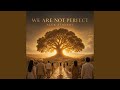 We Are Not Perfect (Reimagined)