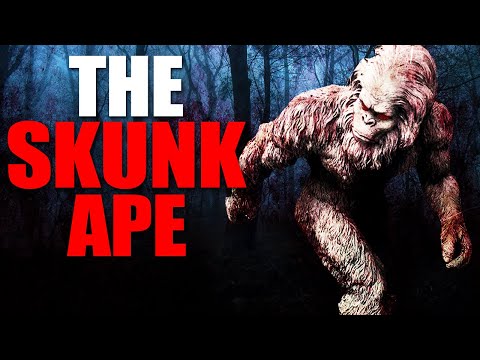 The Skunk Ape of Florida