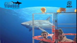 DIA 3 Expo Tiburon164