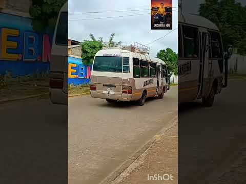 MORAZAN EL PROGRESO SPS# TRANS ALEJANDRA# VIRAL SOY JOSHUA HN #NAVIDAD SIN TI