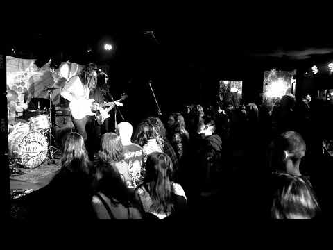 Broken Colours - Pseudo Mind Hive