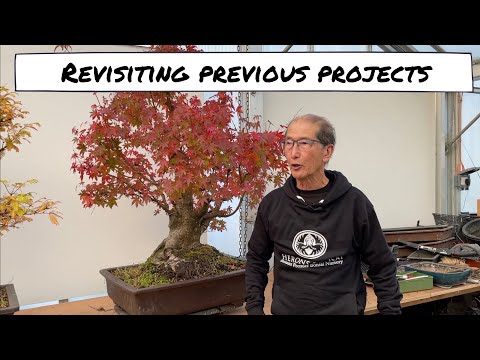 Projects Revisited - 2021