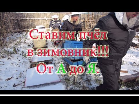 ПРОСТЕЙШИЙ СПОСОБ!!!ПОСТАНОВКА ПЧЕЛОСЕМЕЙ В ЗИМОВНИК, от А до Я и КАК МЫ ЭТО ДЕЛАЕМ???🔥🔥🔥