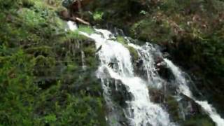 preview picture of video 'Lacamas Creek Water Features'