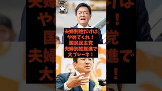 「夫婦別姓だけはやめてくれ！」国民民主党が夫婦別姓推進で大ブレーキ！#shorts #国民民主党 #参政党 #立憲民主党 #玉木雄一郎 #神谷宗幣