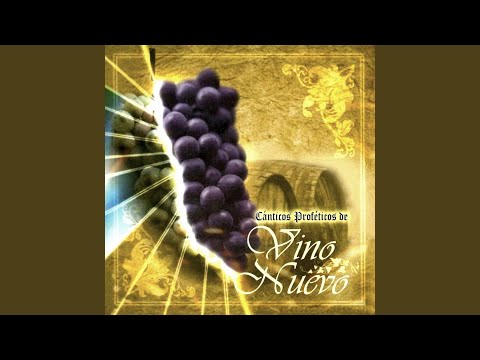 Manos Arriba Lift Your Hands Up - New Wine