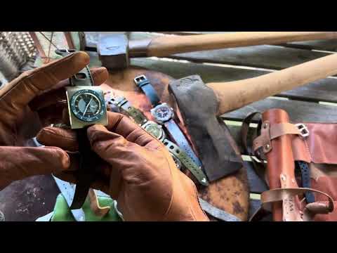 Vintage Divers | Affordable Talking Watches | Nivada | Ardath | Timex | Aquastar | No Rolex | 