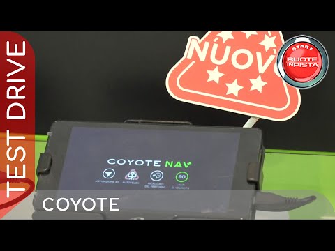 Coyote a Ruote in Pista