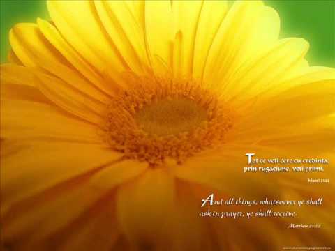 Dani Onisie Tu esti D-ne a mea iubire